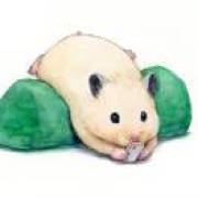 ♪修炼千年的大冰块。