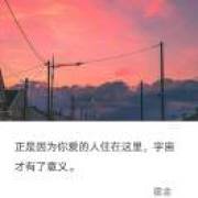 落花说梦