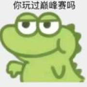杠精大队二营长