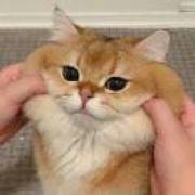 人生是一方通行