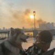 没头没脑没烦恼