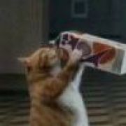 喝最烈酒消秀儿愁