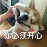 lyh_lkq