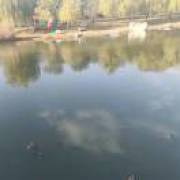 一.克己慎独，精以固神