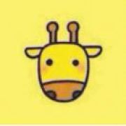 大灰狼的小白兔