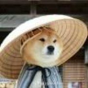 可可