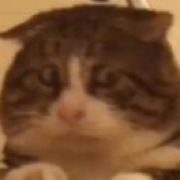 阿秋和他的小鱼干