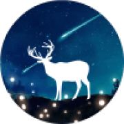 奇奇怪怪的东西乱入