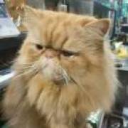 今天也要笑起来鸭