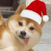 小朋友