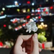 轻尘