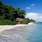 杯中酒～谢展才