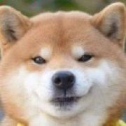 俺可是虎吹