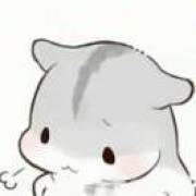 失落的仓鼠