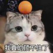 夜凉