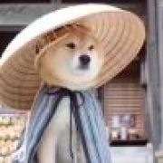 老鼠扛刀☆满街找猫