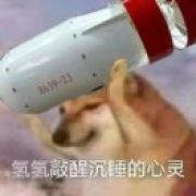 想起一个名字