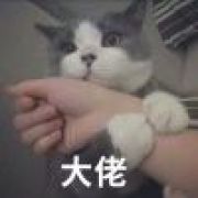 一只小小小小鸟