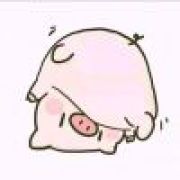 刘鸭