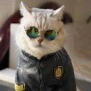 我可能是迷了路.