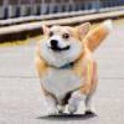 该账号已被注销