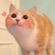 ｡ﾟ(ﾟ´Д｀)ﾟ｡爬山中