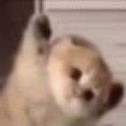 ㅤㅤㅤ醉过知酒浓