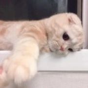 仕竹.