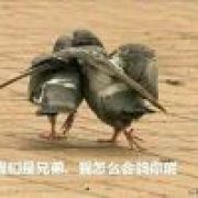 [无法显示]