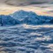 最爱夜之森小红