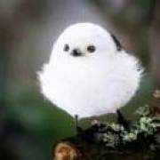 静
