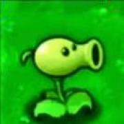 碗豆下士