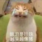 无敌暴龙战神