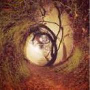 寸寸山河寸寸金难买寸光阴。