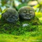 疯疯地轻吻，一点点  去爱