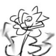 栀子