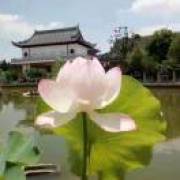 刘绍红