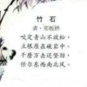 花花的魅力倾城