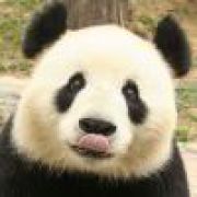淡然似水