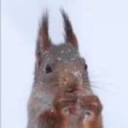 暂时还没想到让人眼前一黑的名字