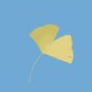 慕月羡风（互置顶）