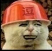 ，，，