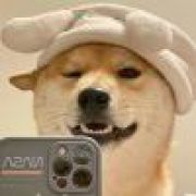 倒立上青云