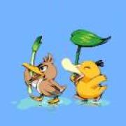 迷失在大良鱼汤锅中的一片肥牛🍲