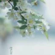 读作财运写作才运