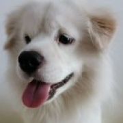 秋