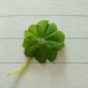 时间这狡猾的小偷