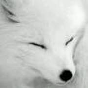 Zion℡▁つ昨日期盼