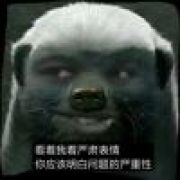 就是这样那样的