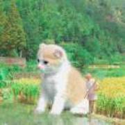 你的世界我来过
